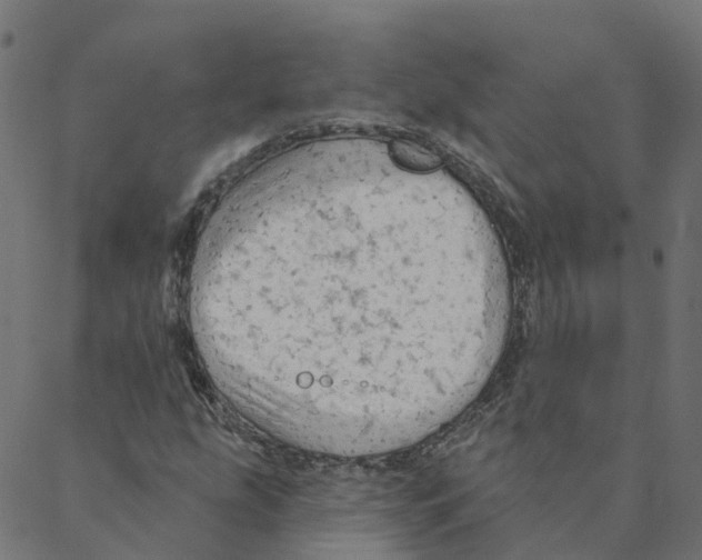 X0000087381207200705181234