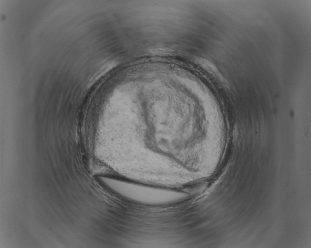 X0000087381209200705181234