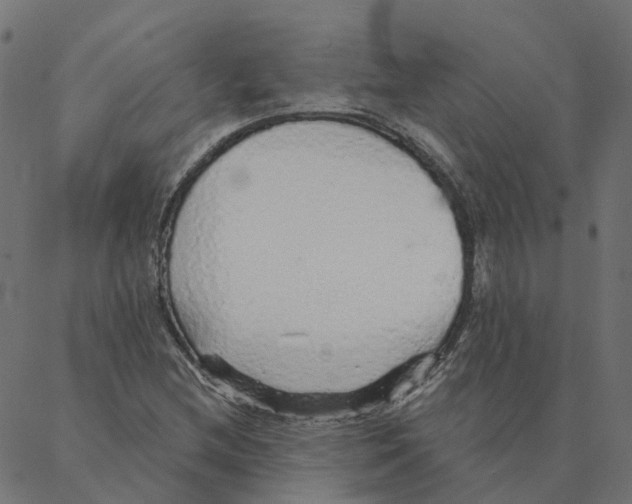 X0000087381212200705181234