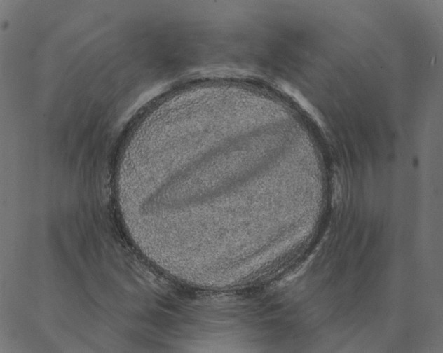 X0000087381213200705181234