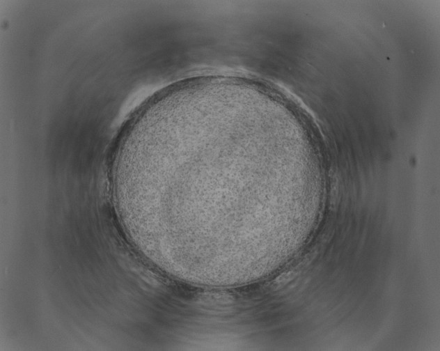 X0000087381215200705181234