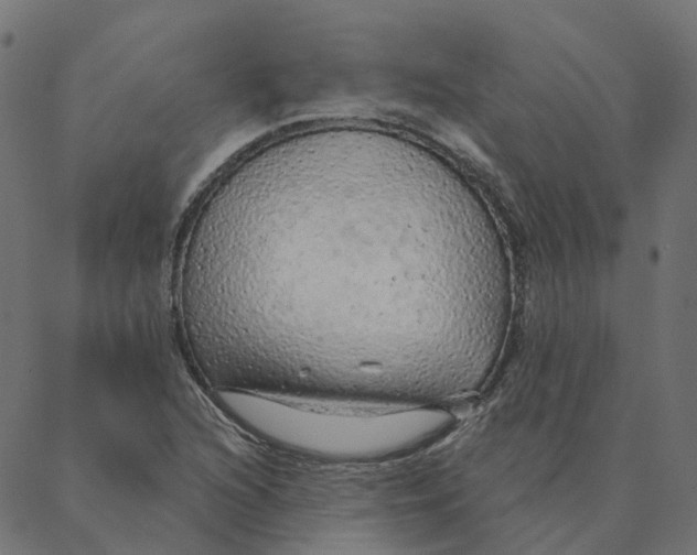 X0000087381216200705181234