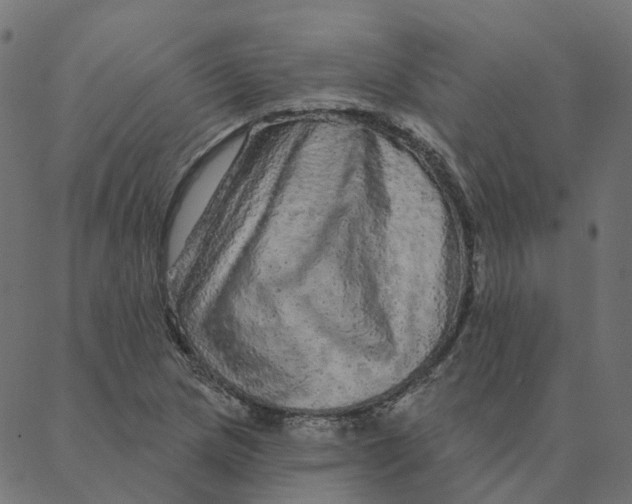 X0000087381217200705181234