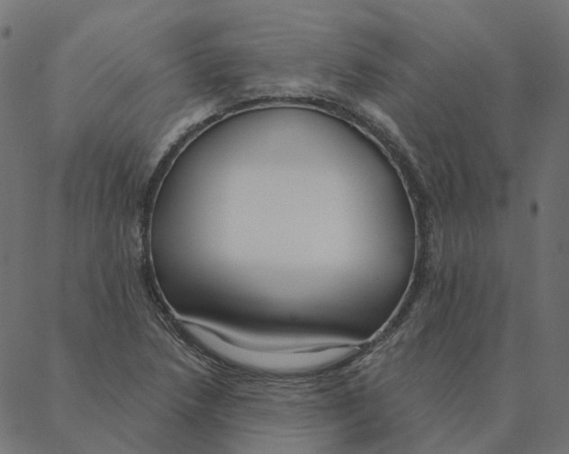 X0000087381218200705181234