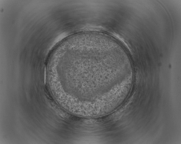 X0000087381219200705181234