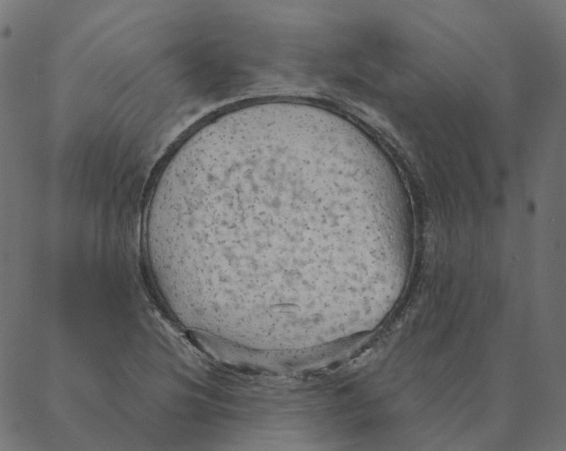 X0000087381220200705181234