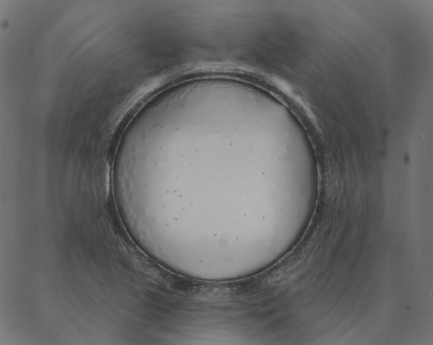 X0000087381221200705181234