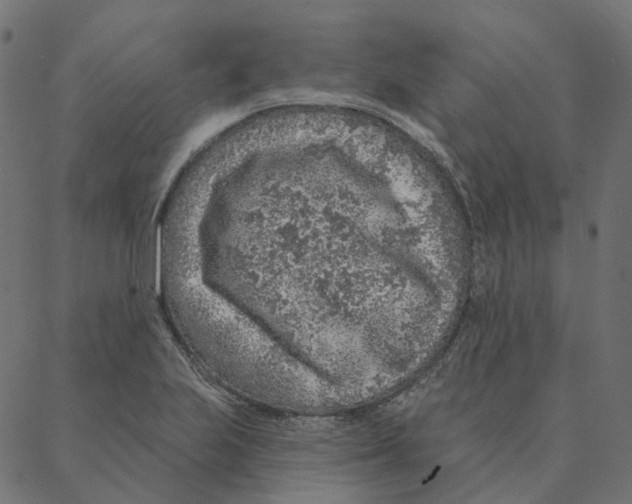 X0000087381223200705181234