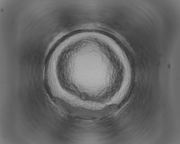 X0000087381224200705181234