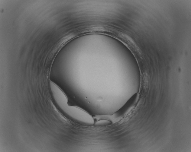 X0000087381225200705181234