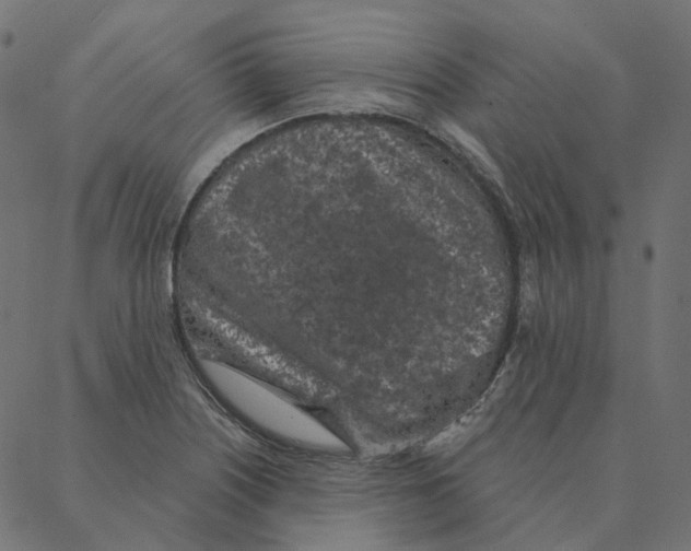 X0000087381226200705181234