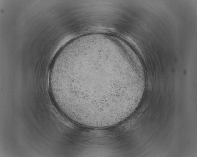 X0000087381227200705181234