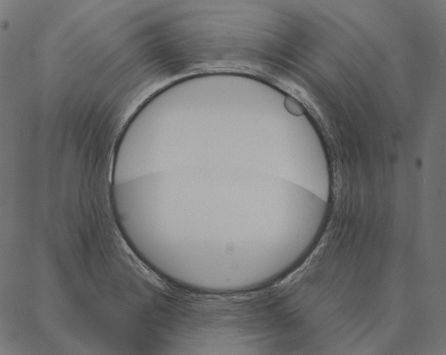 X0000087381228200705181234