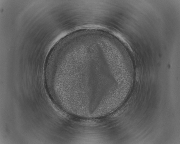 X0000087381229200705181234