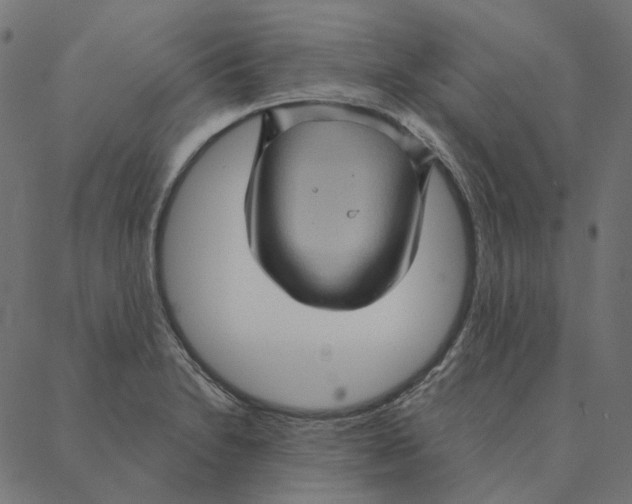 X0000087381230200705181234