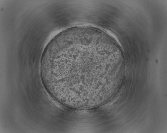 X0000087381231200705181234