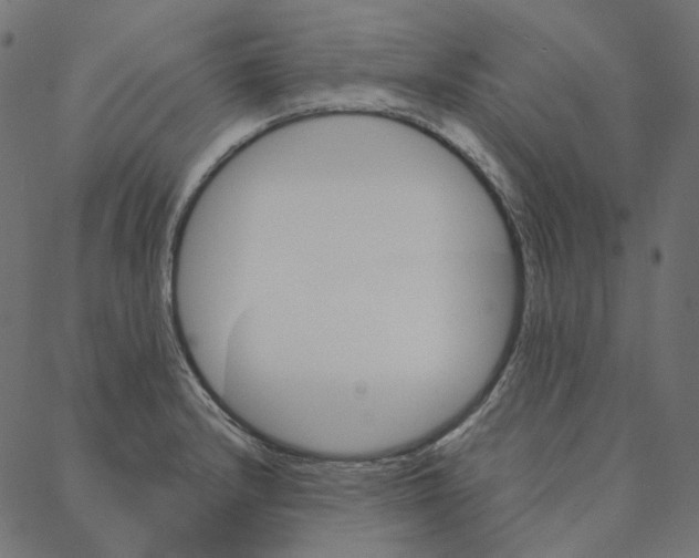 X0000087381232200705181234