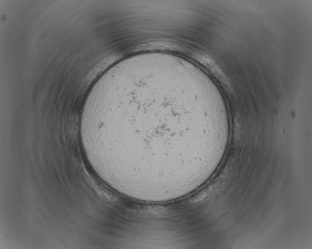 X0000087381233200705181234