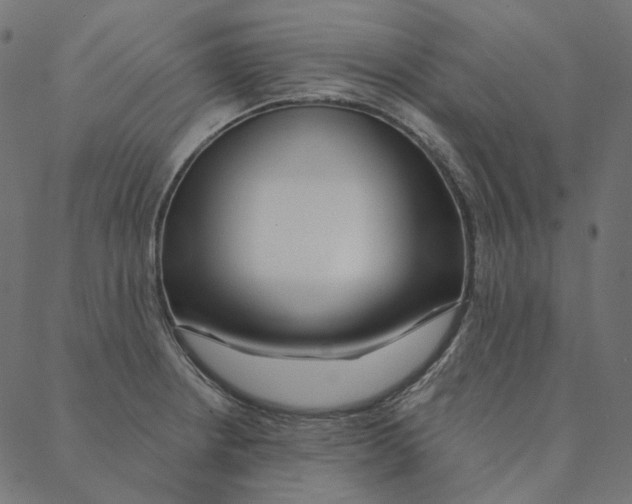 X0000087381234200705181234