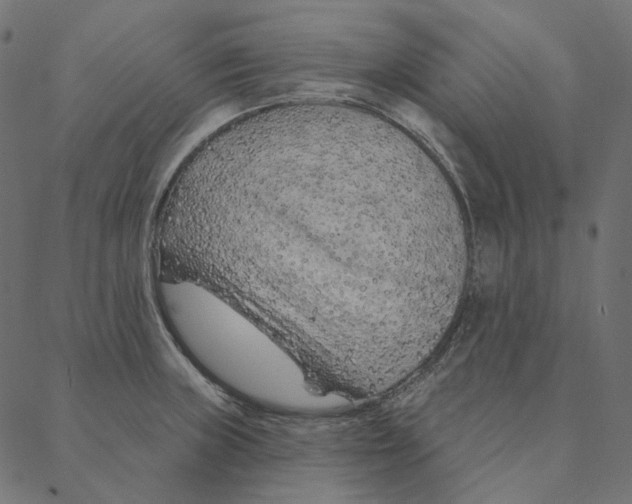 X0000087381235200705181234