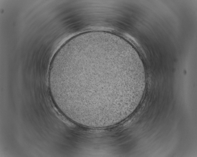 X0000087381236200705181234