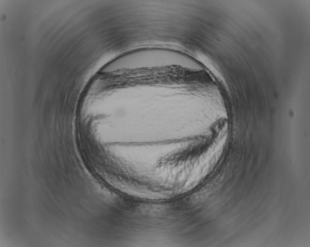 X0000087381237200705181234