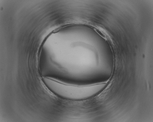 X0000087381238200705181234