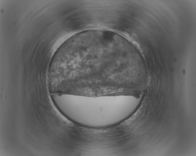 X0000087381239200705181234