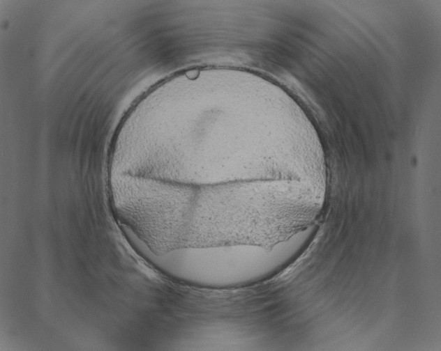 X0000087381240200705181234