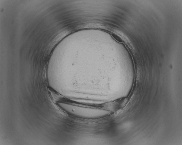 X0000087381241200705181234