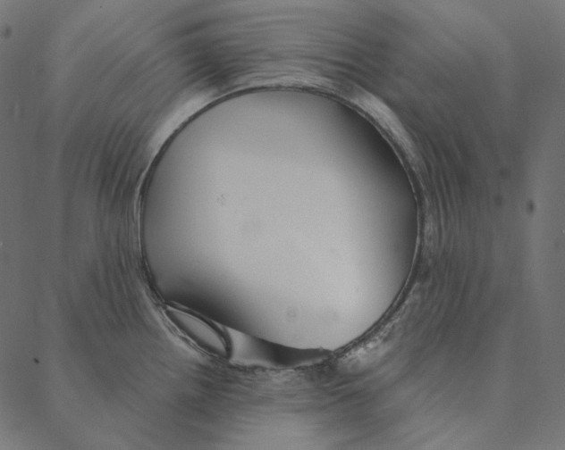 X0000087381242200705181234