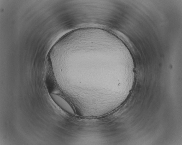 X0000087381244200705181234