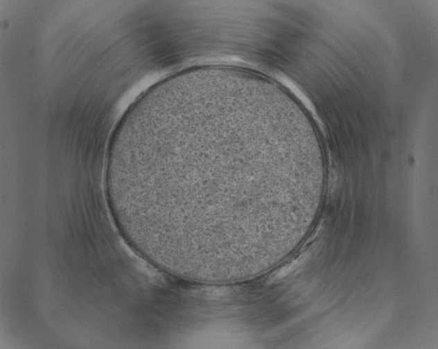 X0000087381245200705181234