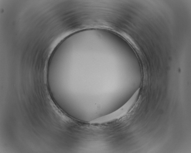 X0000087381246200705181234