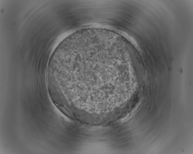 X0000087381247200705181234