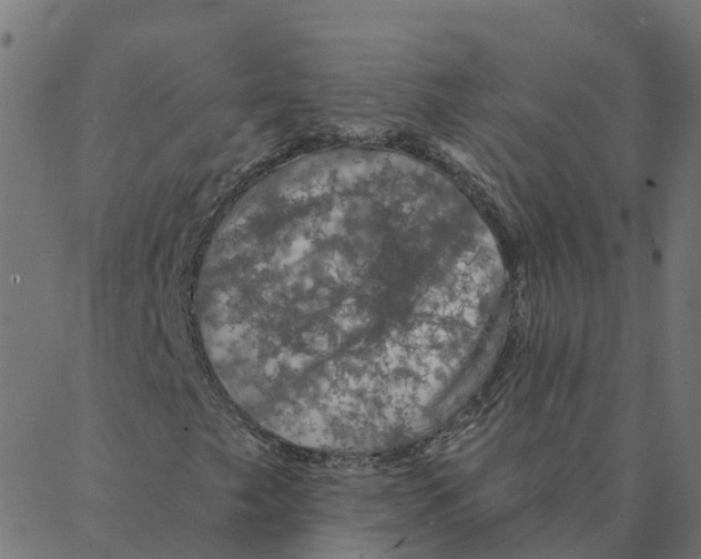 X0000087381249200705181233