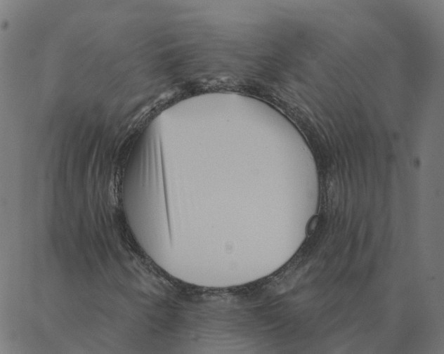 X0000087381250200705181233