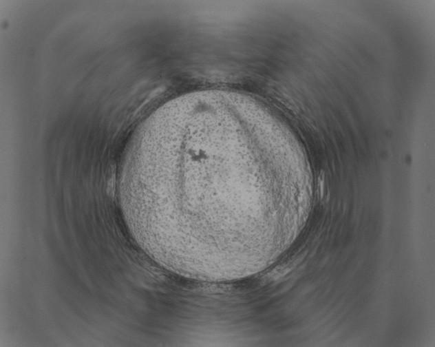 X0000087381251200705181233