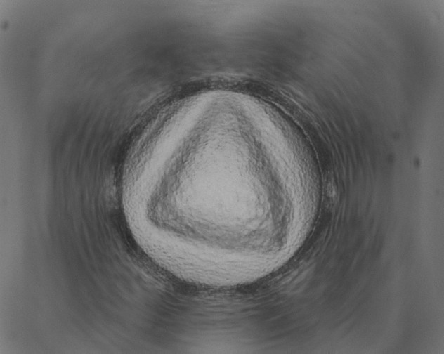 X0000087381252200705181233