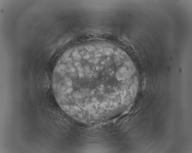 X0000087381253200705181233