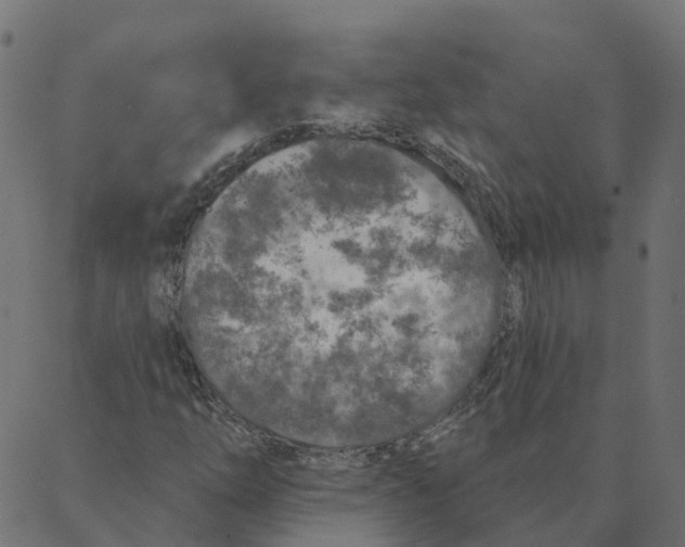 X0000087381254200705181233