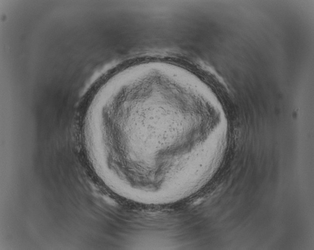 X0000087381256200705181233