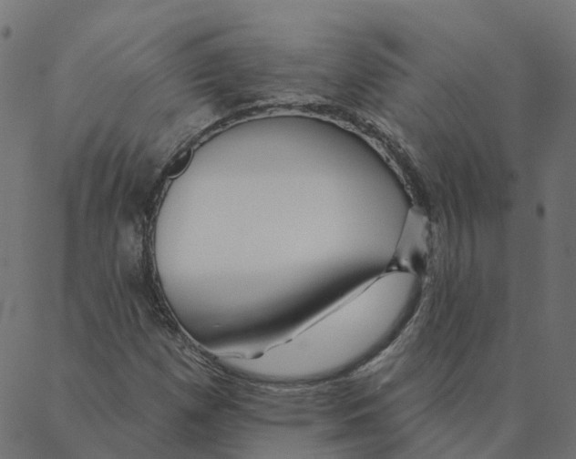 X0000087381257200705181233