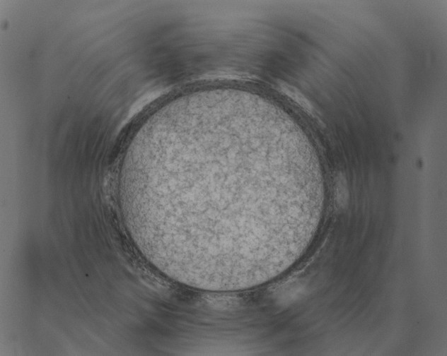 X0000087381258200705181233