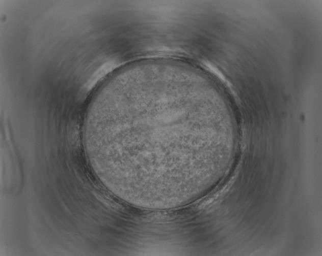 X0000087381259200705181233