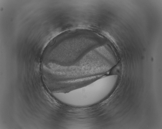 X0000087381260200705181233