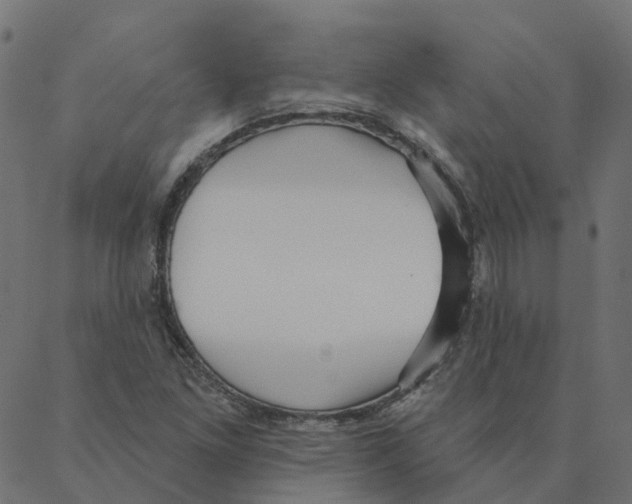 X0000087381261200705181233