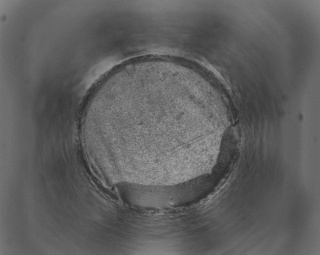 X0000087381263200705181233