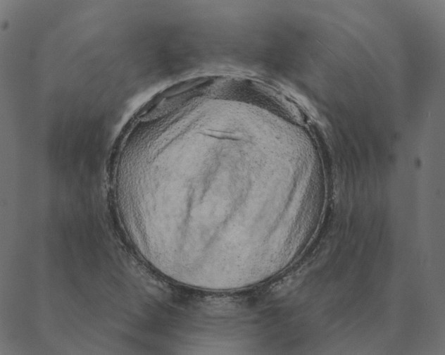 X0000087381264200705181233