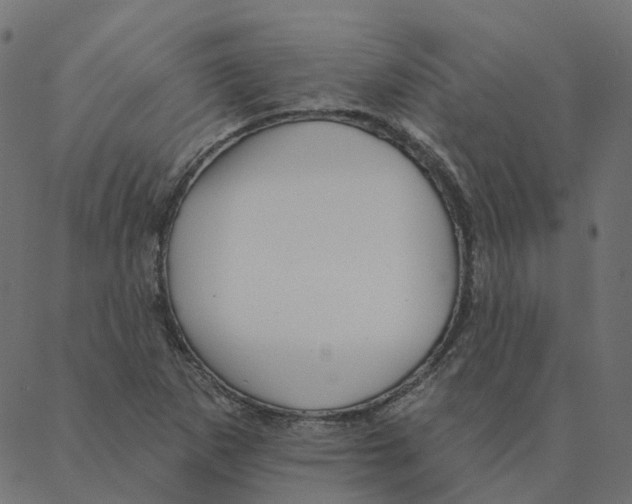 X0000087381265200705181233